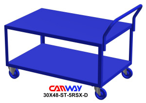 30x48ST-5RSX